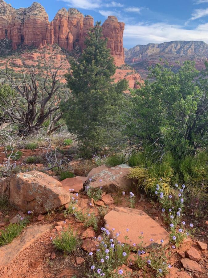 Sedona Room Homestay - Thunder Mountain Exterior photo